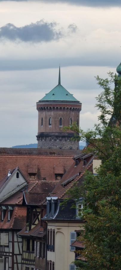 Appartement Grenier A Sel Gentleman Colmar Eksteriør billede