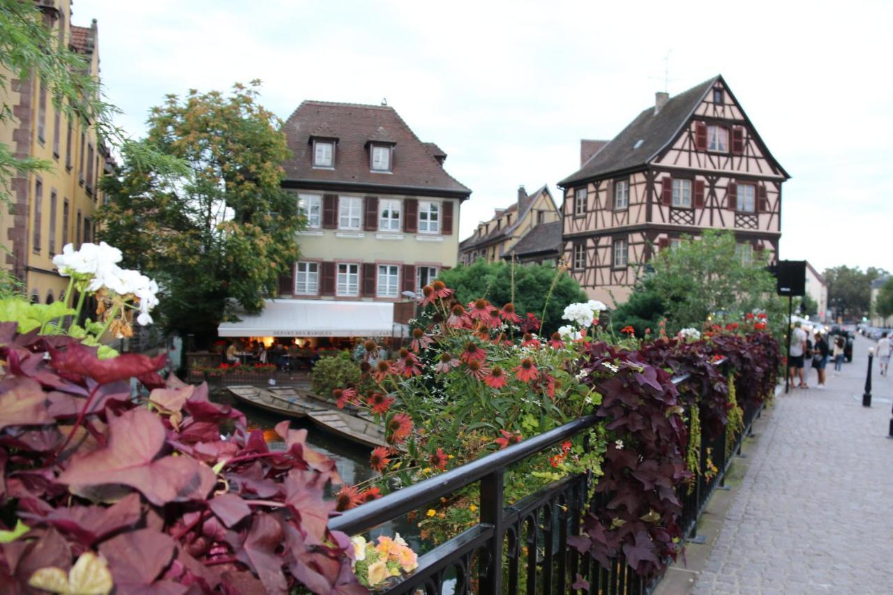 Appartement Grenier A Sel Gentleman Colmar Eksteriør billede